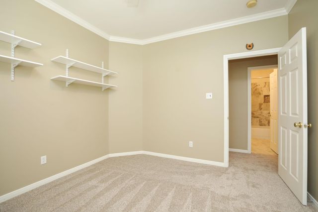 26 Dove Trace Circle, The Woodlands, TX 77382
