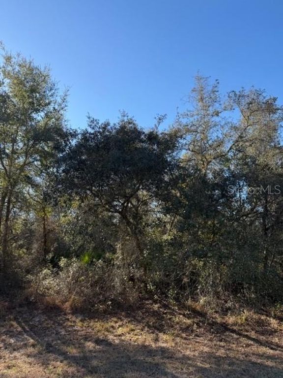 Image 3 of property listing at TBD SW 158TH STREET ROAD, Ocala, FL 34473