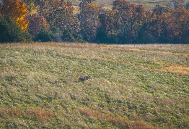 6601 County Line Road, Graff, MO 65660