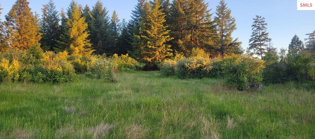 5254 E Mabel Ln., Harrison, ID 83833 photo 14