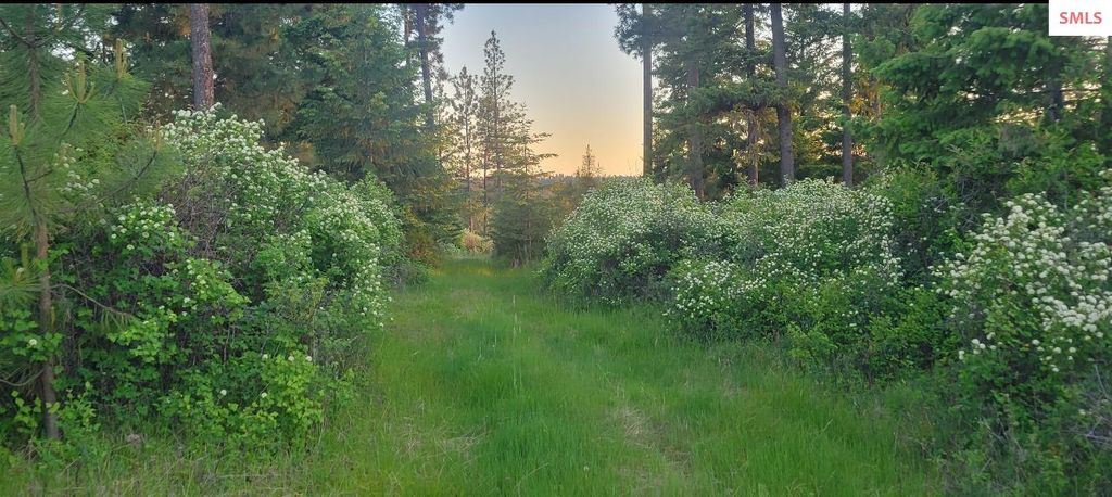 5254 E Mabel Ln., Harrison, ID 83833 photo 17