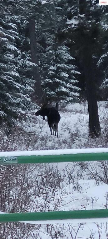 5254 E Mabel Ln., Harrison, ID 83833 photo 23