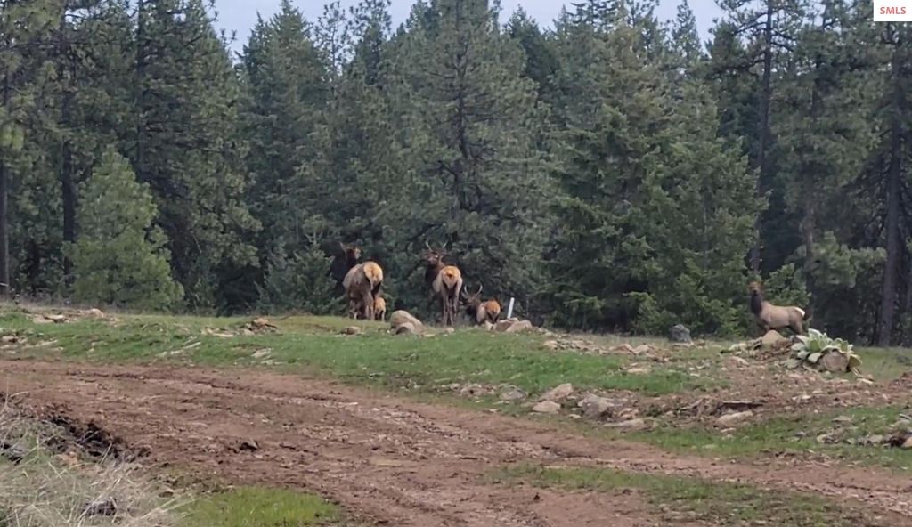 5254 E Mabel Ln., Harrison, ID 83833 photo 27