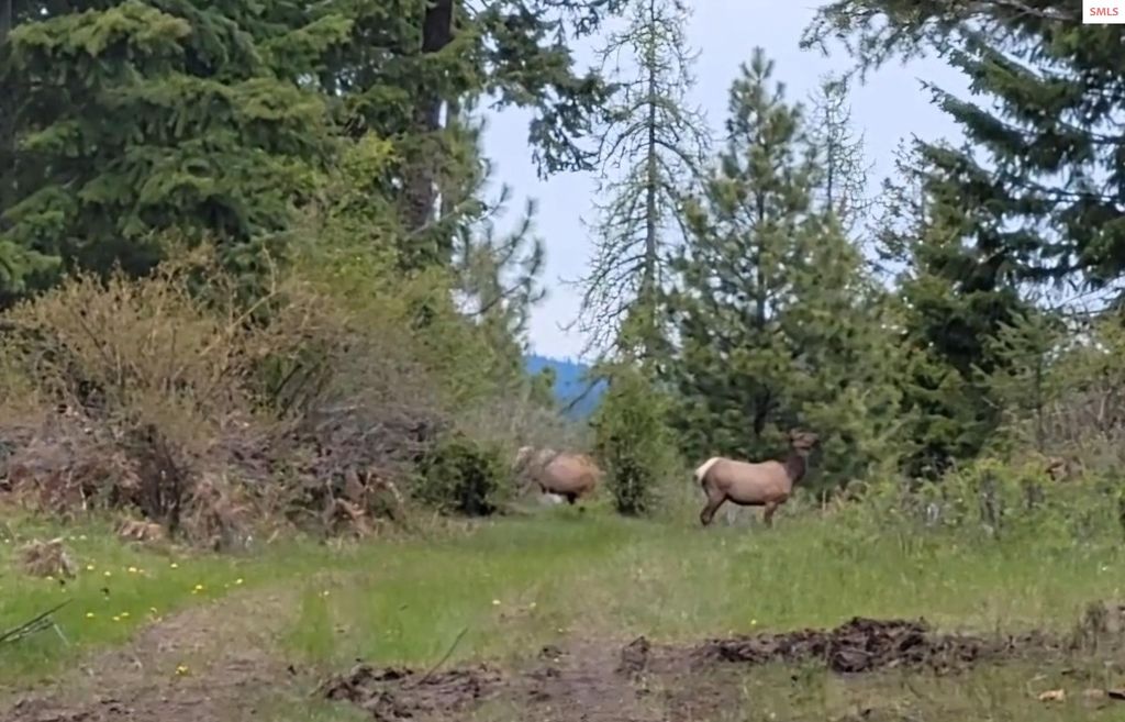 5254 E Mabel Ln., Harrison, ID 83833 photo 28