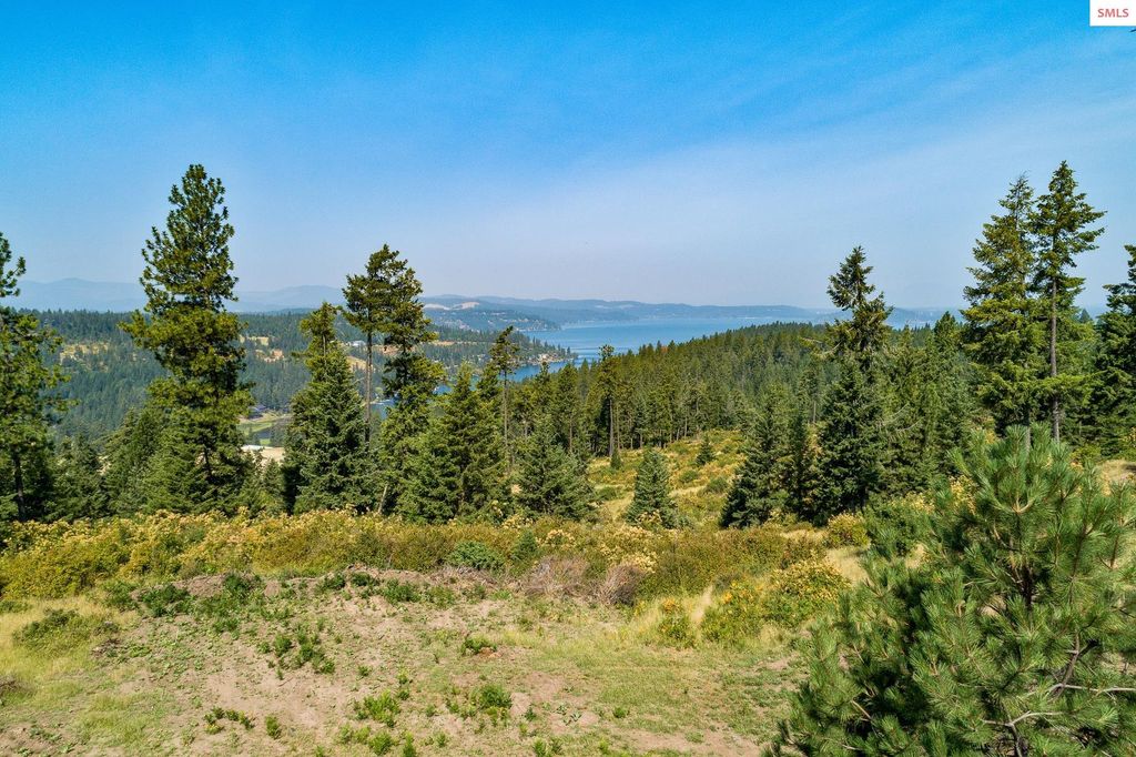 5254 E Mabel Ln., Harrison, ID 83833 photo 29