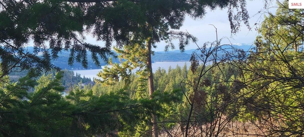 5254 E Mabel Ln., Harrison, ID 83833 photo 4