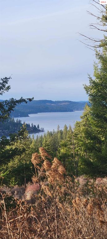 5254 E Mabel Ln., Harrison, ID 83833 photo 6