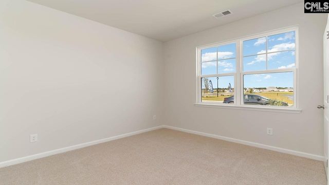 1046 Rampart Court, Lugoff, SC 29078