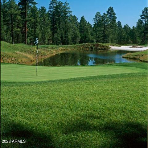 1730 S Torreon Lakes Drive, Show Low, AZ 85901