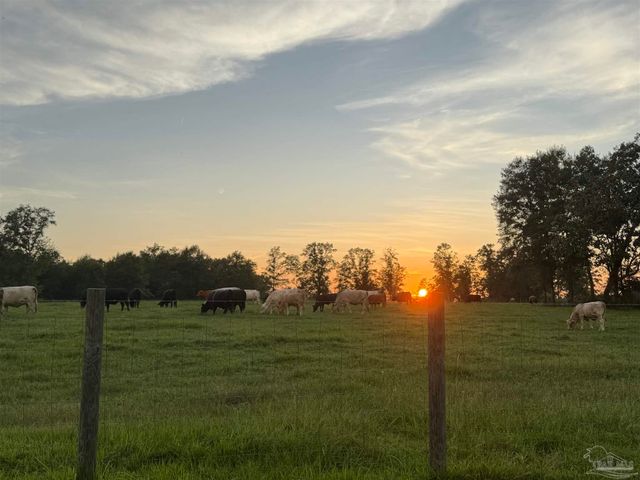 8850 Gibson Rd, Molino, FL 32577