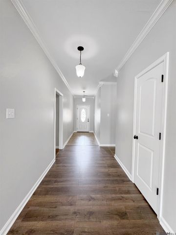23189 Mango Dr, Denham Springs, LA 70726