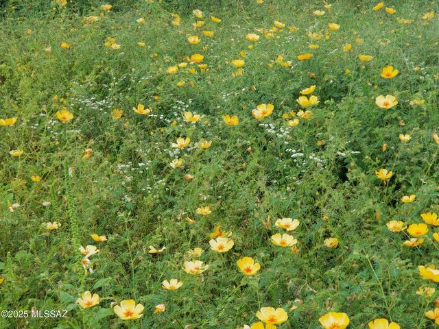 TBD N Double U Ranch Road, Tombstone, AZ 85638