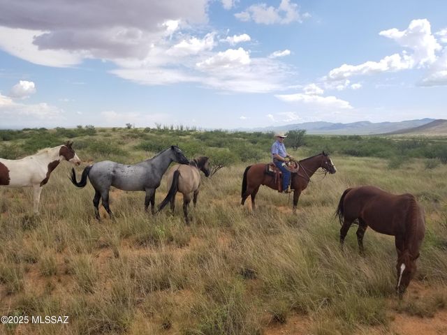 TBD N Double U Ranch Road, Tombstone, AZ 85638