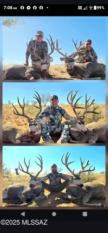 TBD N Double U Ranch Road, Tombstone, AZ 85638