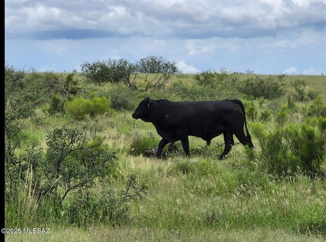 TBD N Double U Ranch Road, Tombstone, AZ 85638