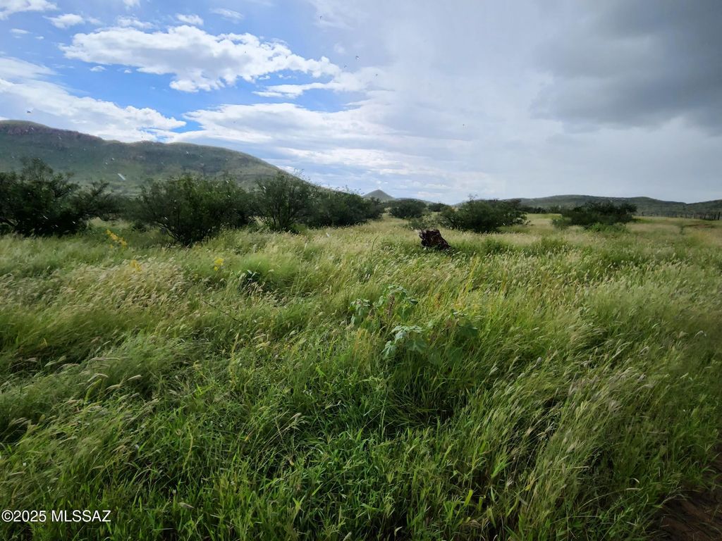 TBD N Double U Ranch Road, Tombstone, AZ 85638