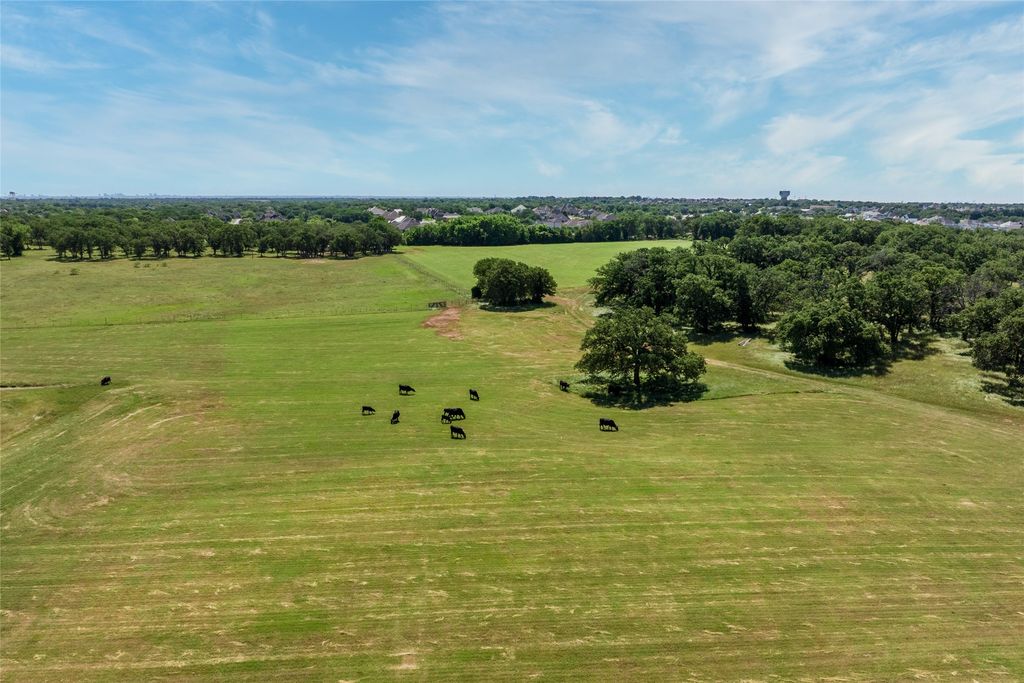 5200 Cross Timbers Road, Flower Mound, TX 75022 — photo 5