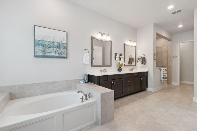 17286 HICKORY WIND DRIVE, Clermont, FL 34711