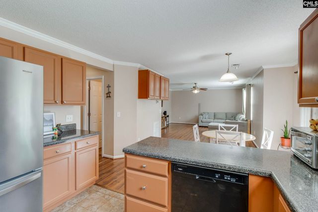 316 Turkey Beard Court, Chapin, SC 29036