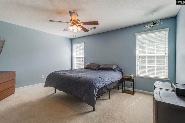 316 Turkey Beard Court, Chapin, SC 29036