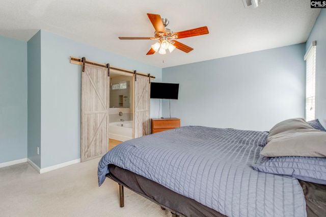 316 Turkey Beard Court, Chapin, SC 29036