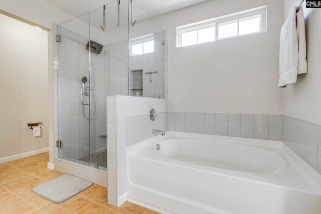 316 Turkey Beard Court, Chapin, SC 29036