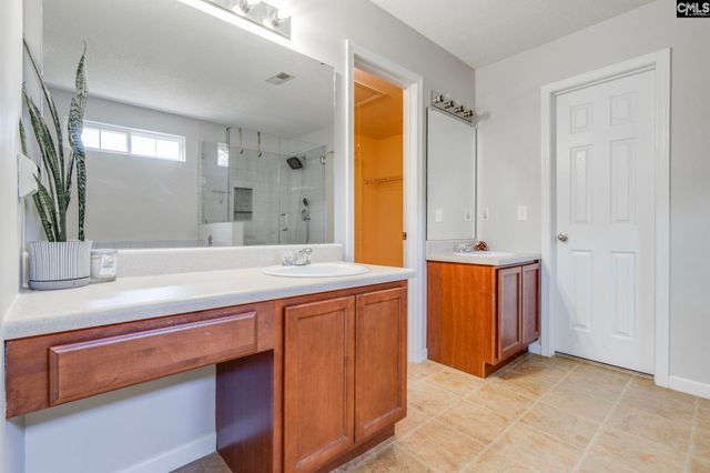 316 Turkey Beard Court, Chapin, SC 29036