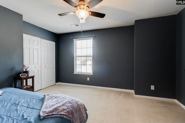 316 Turkey Beard Court, Chapin, SC 29036