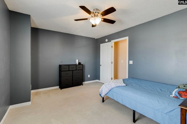 316 Turkey Beard Court, Chapin, SC 29036