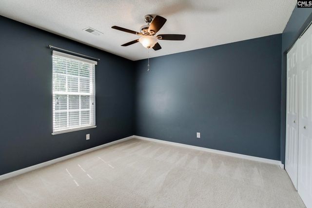 316 Turkey Beard Court, Chapin, SC 29036