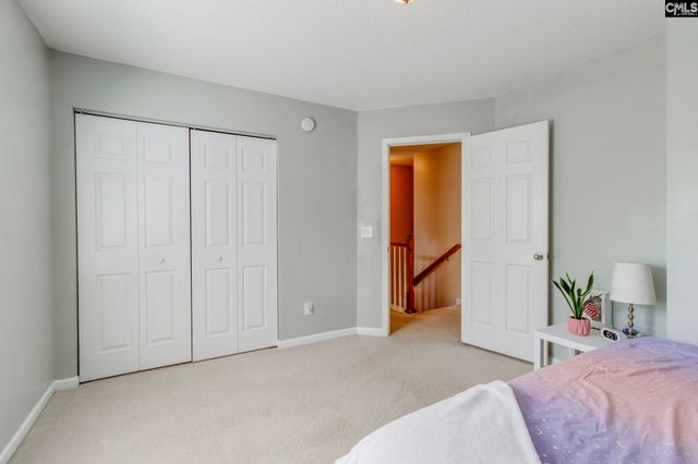 316 Turkey Beard Court, Chapin, SC 29036