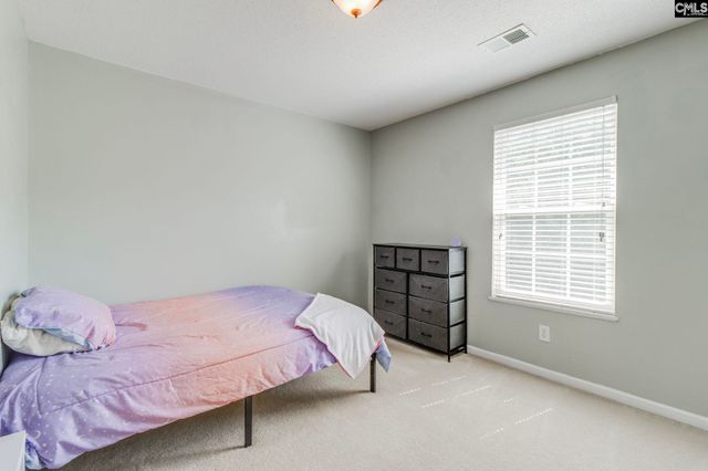 316 Turkey Beard Court, Chapin, SC 29036