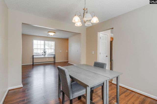 316 Turkey Beard Court, Chapin, SC 29036