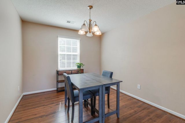 316 Turkey Beard Court, Chapin, SC 29036