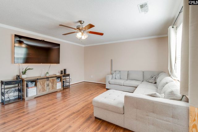 316 Turkey Beard Court, Chapin, SC 29036