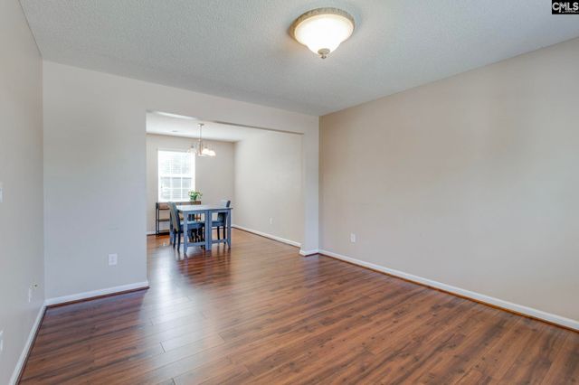 316 Turkey Beard Court, Chapin, SC 29036