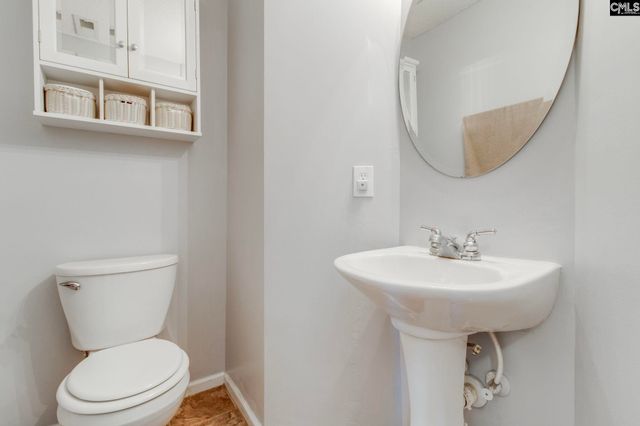 316 Turkey Beard Court, Chapin, SC 29036