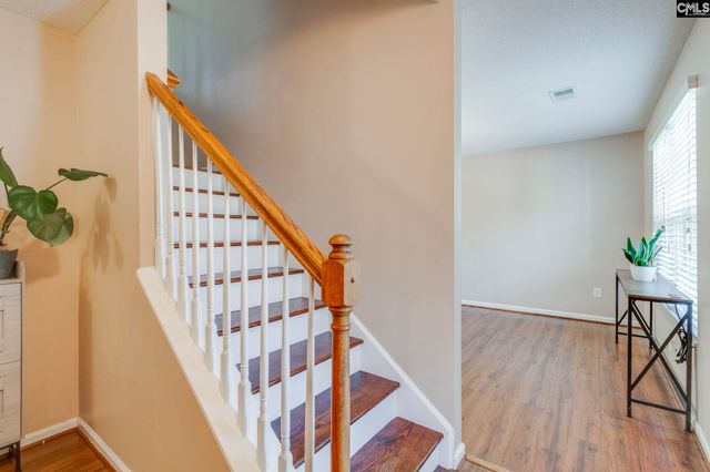 316 Turkey Beard Court, Chapin, SC 29036