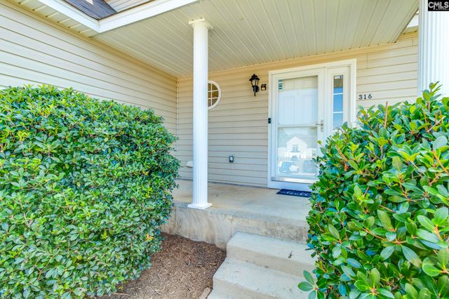 316 Turkey Beard Court, Chapin, SC 29036