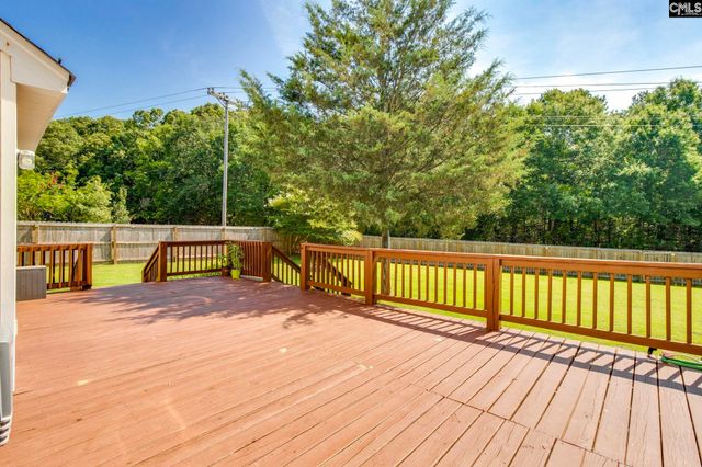 316 Turkey Beard Court, Chapin, SC 29036