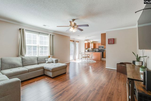 316 Turkey Beard Court, Chapin, SC 29036