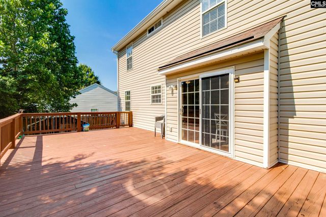 316 Turkey Beard Court, Chapin, SC 29036