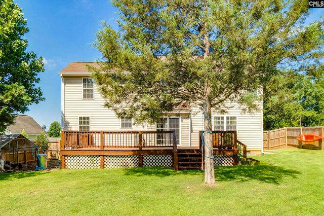 316 Turkey Beard Court, Chapin, SC 29036