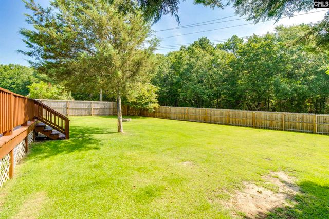 316 Turkey Beard Court, Chapin, SC 29036