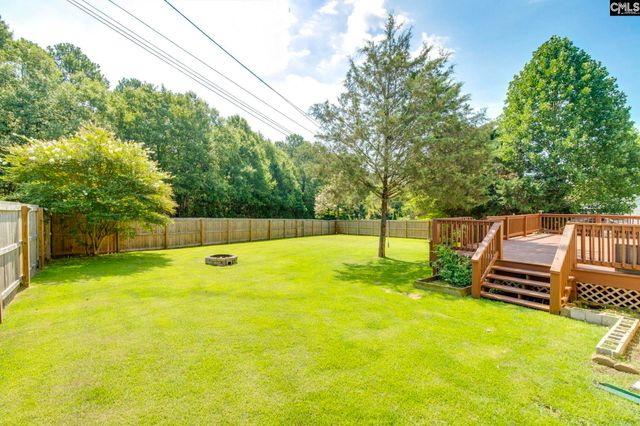 316 Turkey Beard Court, Chapin, SC 29036