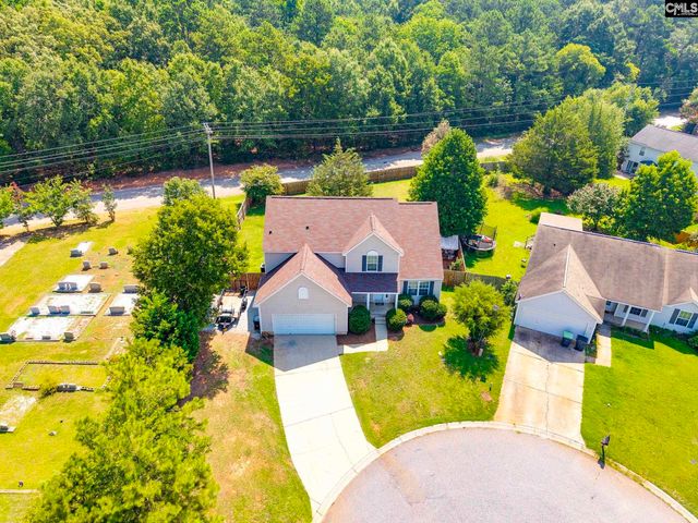 316 Turkey Beard Court, Chapin, SC 29036