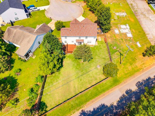 316 Turkey Beard Court, Chapin, SC 29036