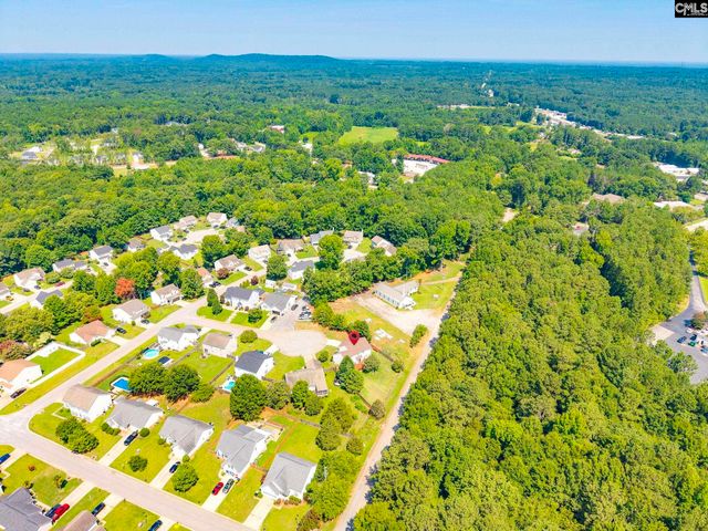316 Turkey Beard Court, Chapin, SC 29036