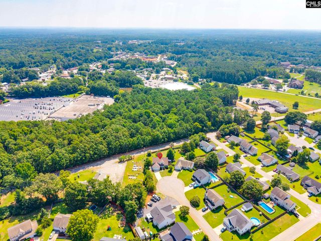 316 Turkey Beard Court, Chapin, SC 29036