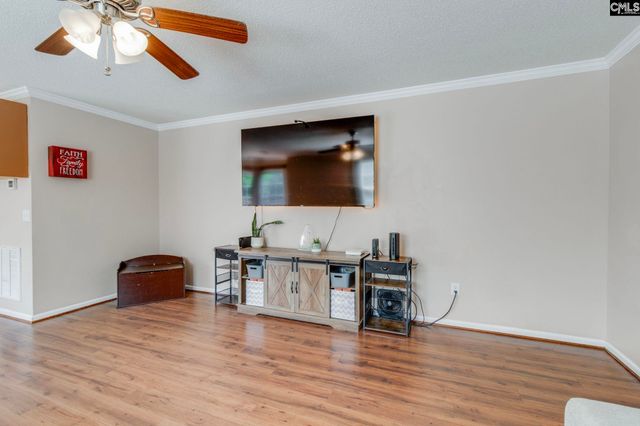 316 Turkey Beard Court, Chapin, SC 29036
